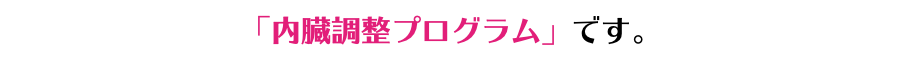 「内臓調整プログラム」です。